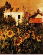 Gustave Caillebotte Sunflowers, Garden at Petit Gennevilliers oil painting reproduction